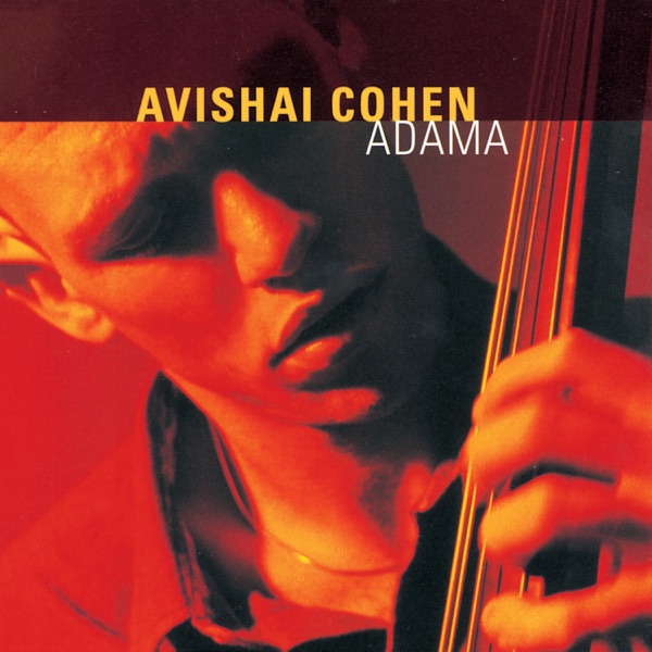Avishai Cohen — Adama