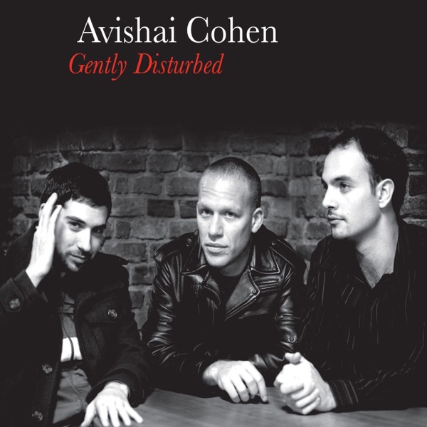 Avishai Cohen — Gently Disturbed