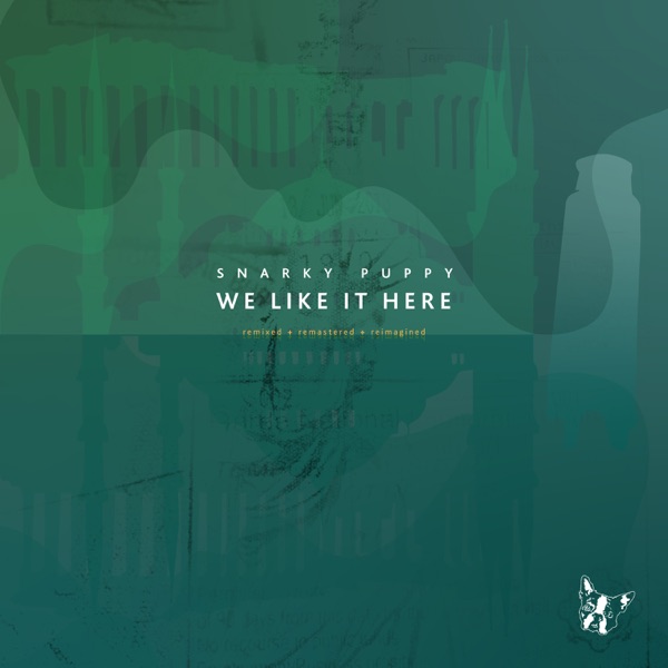 Snarky Puppy — We Like It Here