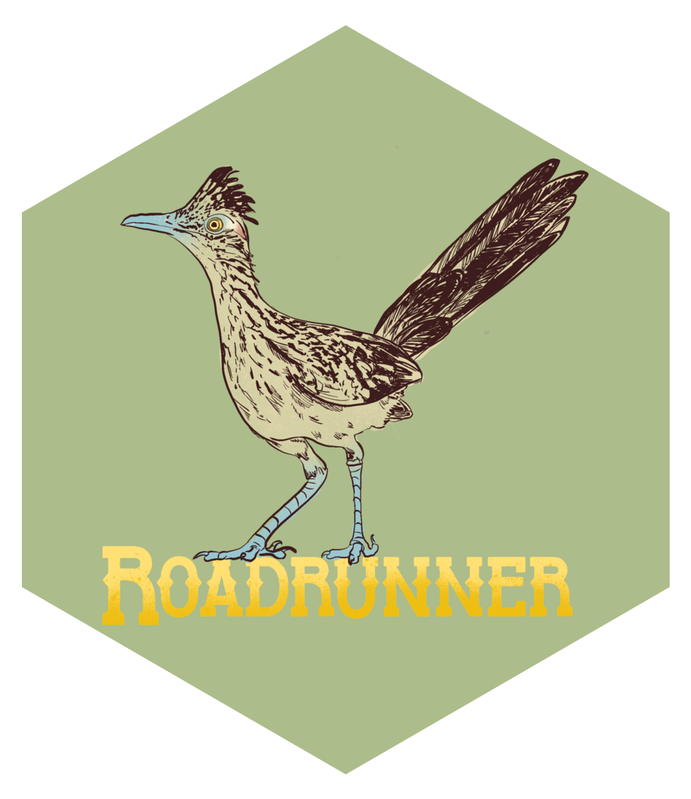 roadrunner